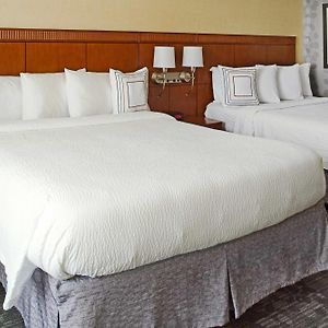 Queen Room Two Queen Beds